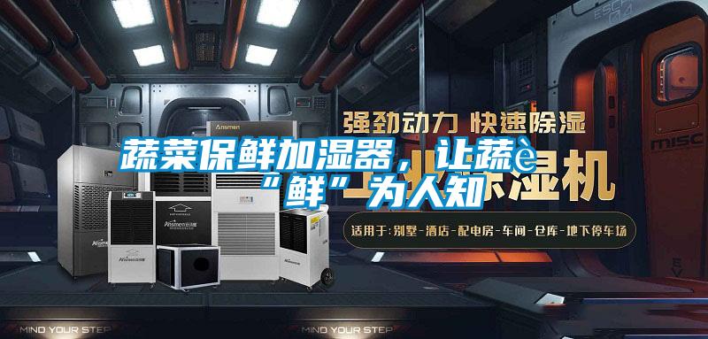 蔬菜保鮮加濕器，讓蔬菜“鮮”為人知