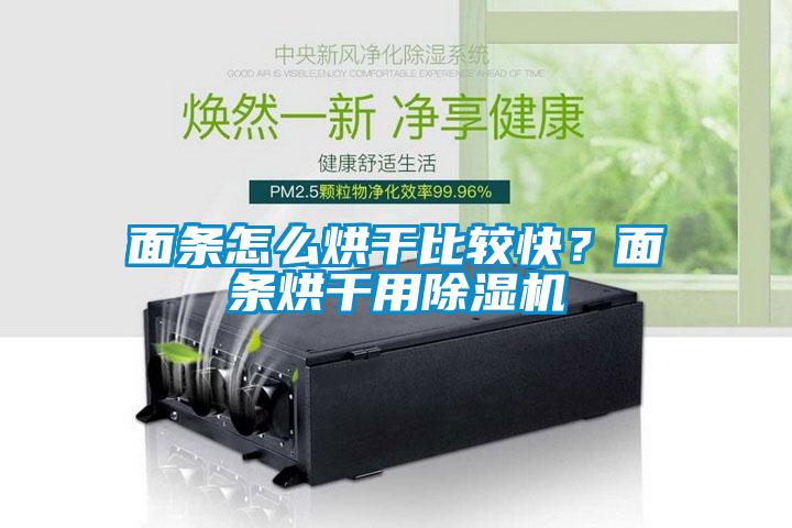 面條怎么烘干比較快？面條烘干用除濕機(jī)