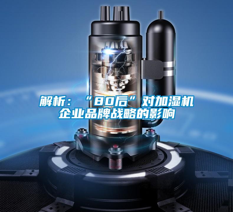 解析：“80后”對加濕機(jī)企業(yè)品牌戰(zhàn)略的影響