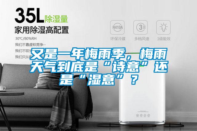 又是一年梅雨季，梅雨天氣到底是“詩意”還是“濕意”？