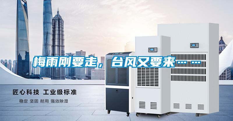 梅雨剛要走,臺(tái)風(fēng)又要來(lái)……