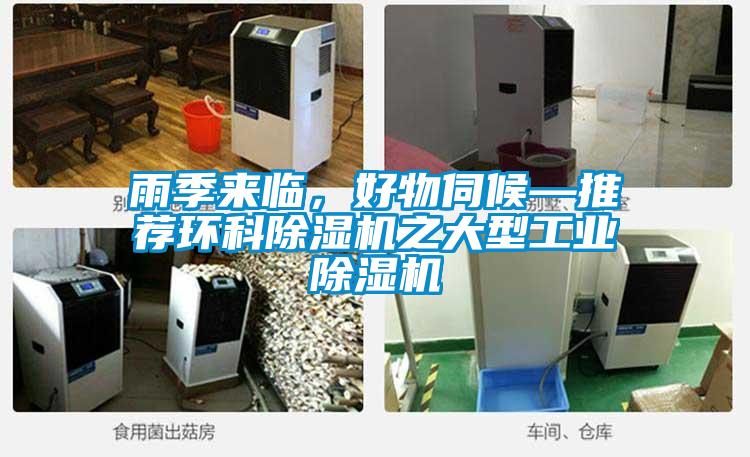 雨季來臨，好物伺候—推薦環科除濕機之大型工業除濕機