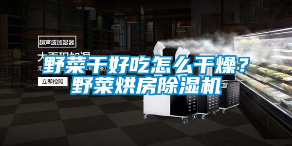 野菜干好吃怎么干燥？野菜烘房除濕機