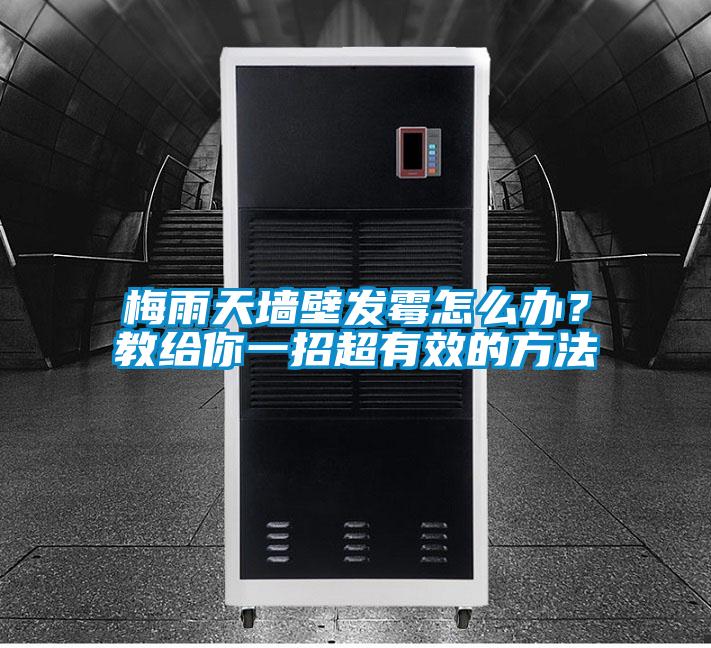 梅雨天墻壁發(fā)霉怎么辦?教給你一招超有效的方法