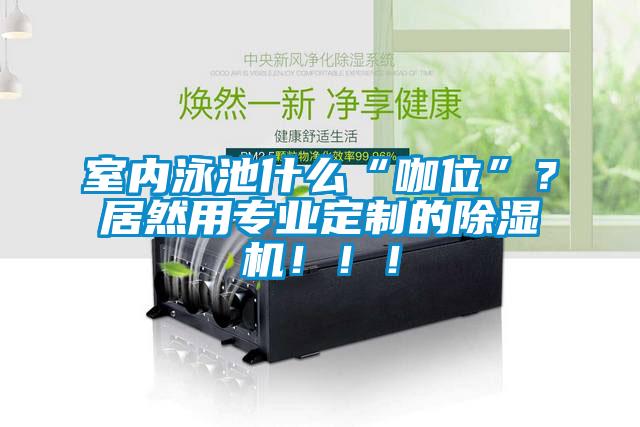 室內(nèi)泳池什么“咖位”？居然用專業(yè)定制的除濕機(jī)?。。?/></p>
						    <p style=