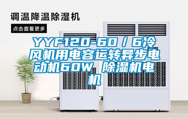 YYF120-60／6冷風(fēng)機(jī)用電容運(yùn)轉(zhuǎn)異步電動機(jī)60W 除濕機(jī)電機(jī)