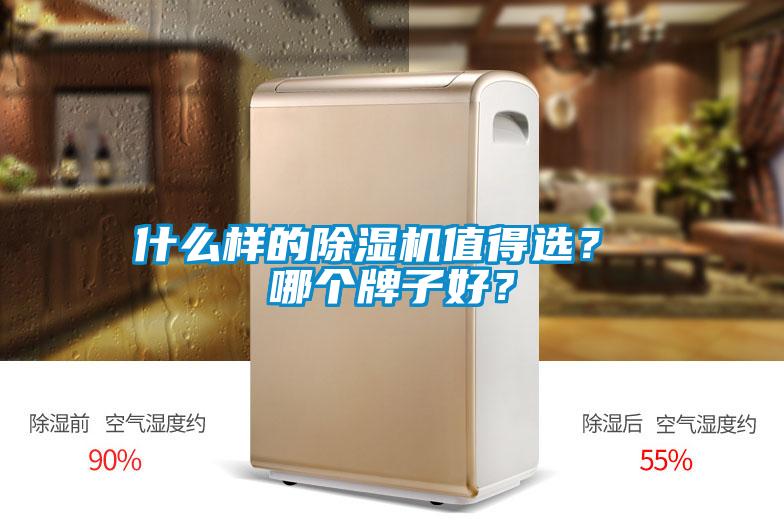 什么樣的除濕機值得選？ 哪個牌子好？