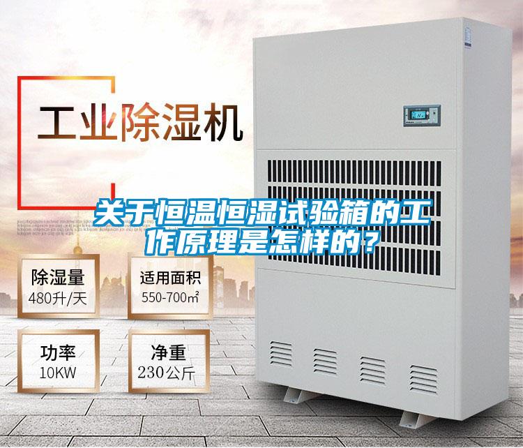 關于恒溫恒濕試驗箱的工作原理是怎樣的？
