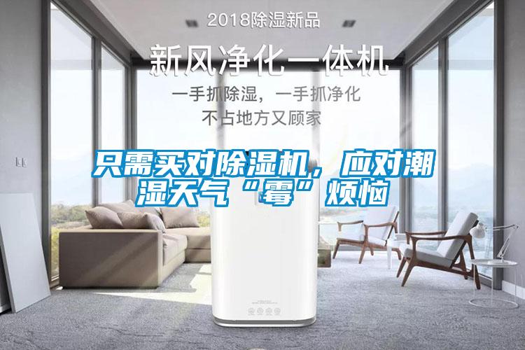 只需買(mǎi)對(duì)除濕機(jī),應(yīng)對(duì)潮濕天氣“霉”煩惱