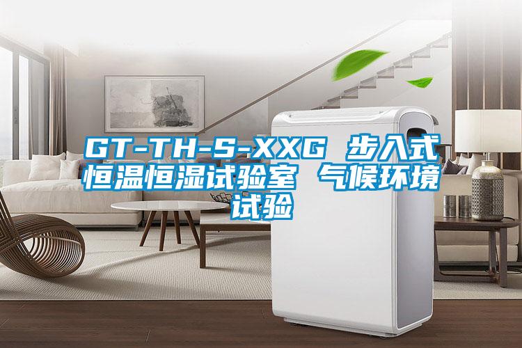 GT-TH-S-XXG 步入式恒溫恒濕試驗室 氣候環境試驗
