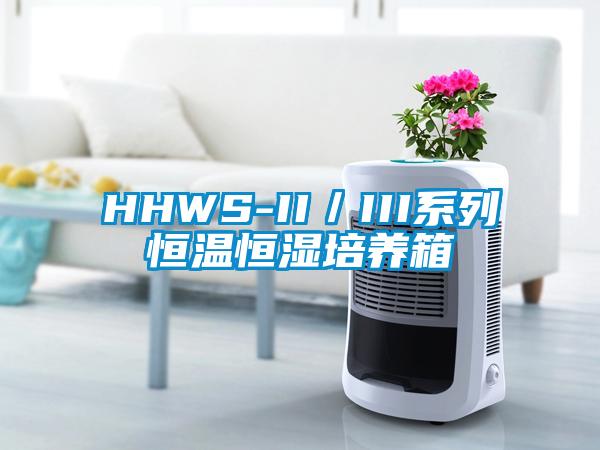 HHWS-II／III系列恒溫恒濕培養箱
