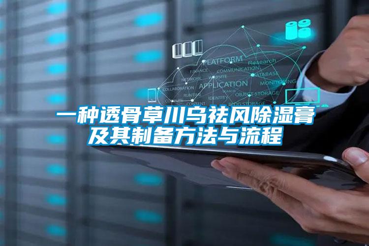 一種透骨草川烏祛風除濕膏及其制備方法與流程