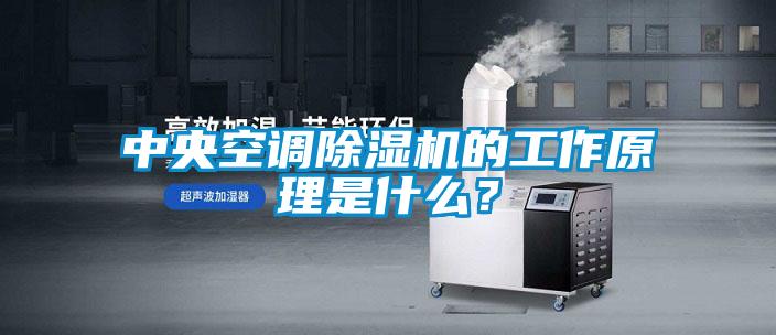 中央空調除濕機的工作原理是什么？