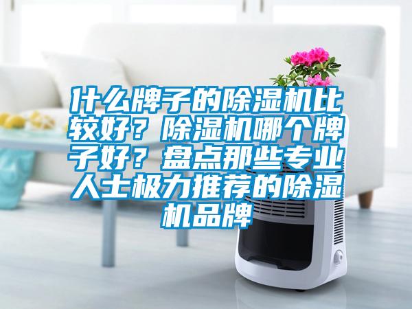 什么牌子的除濕機比較好？除濕機哪個牌子好？盤點那些專業(yè)人士極力推薦的除濕機品牌