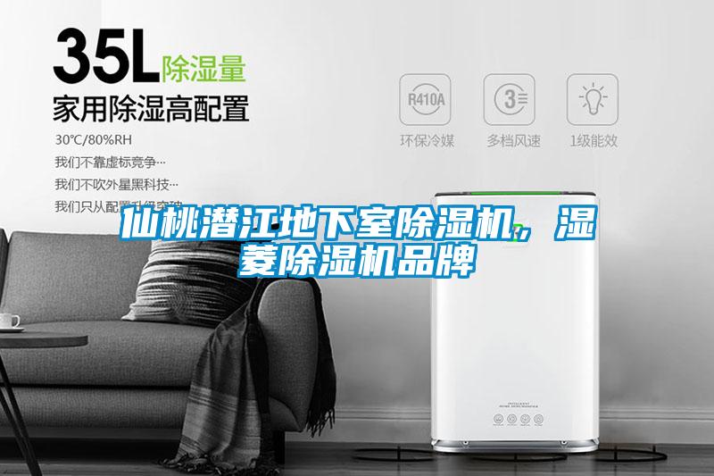 仙桃潛江地下室除濕機，濕菱除濕機品牌