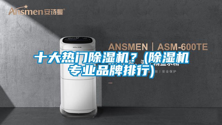 十大熱門除濕機？(除濕機專業(yè)品牌排行)