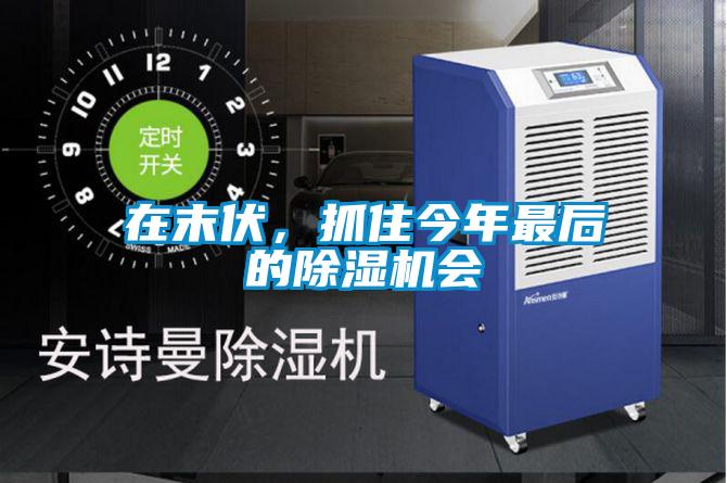 在末伏,抓住今年最后的除濕機(jī)會(huì)