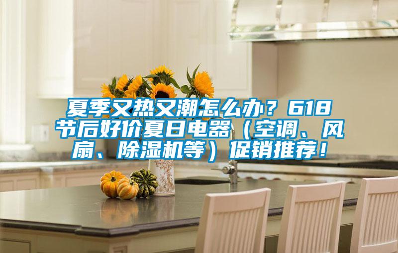 夏季又熱又潮怎么辦？618節(jié)后好價夏日電器（空調(diào)、風扇、除濕機等）促銷推薦！