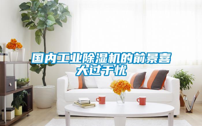 國內工業除濕機的前景喜大過于憂