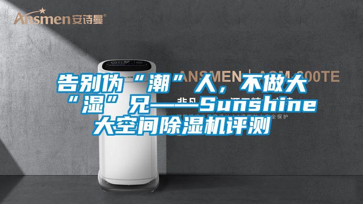 告別偽“潮”人，不做大“濕”兄——Sunshine大空間除濕機評測