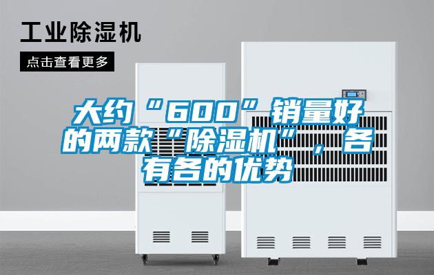 大約“600”銷量好的兩款“除濕機”，各有各的優勢