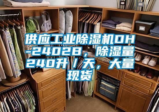 供應工業除濕機DH-2402B，除濕量240升／天，大量現貨