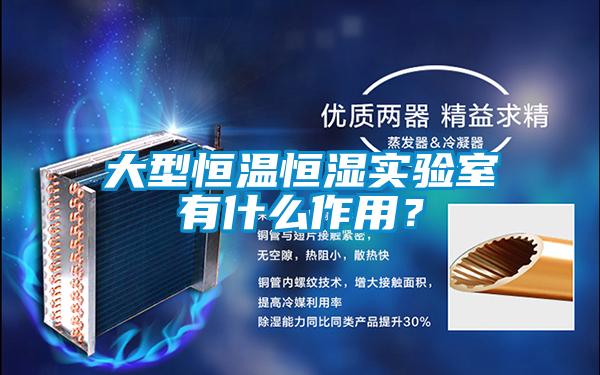大型恒溫恒濕實驗室有什么作用？