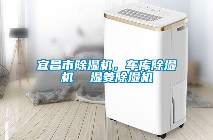宜昌市除濕機,車庫除濕機 濕菱除濕機