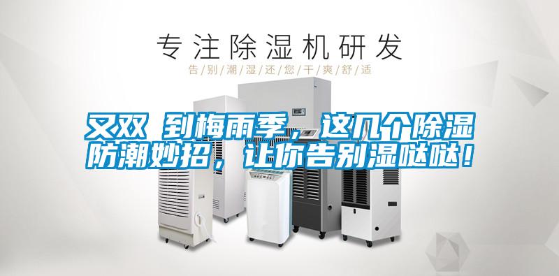 又雙叒到梅雨季，這幾個除濕防潮妙招，讓你告別濕噠噠！