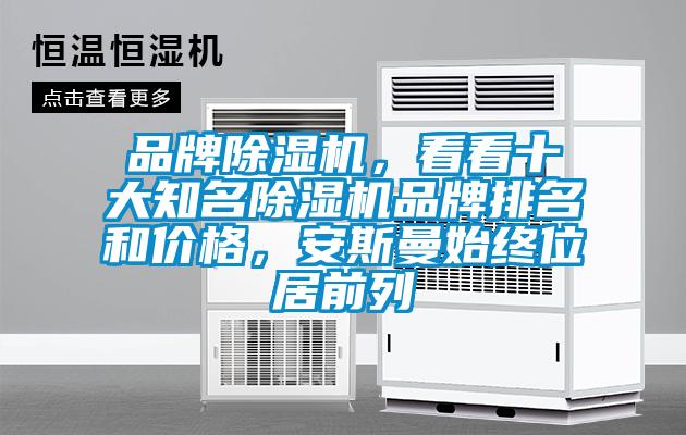 品牌除濕機，看看十大知名除濕機品牌排名和價格，安斯曼始終位居前列