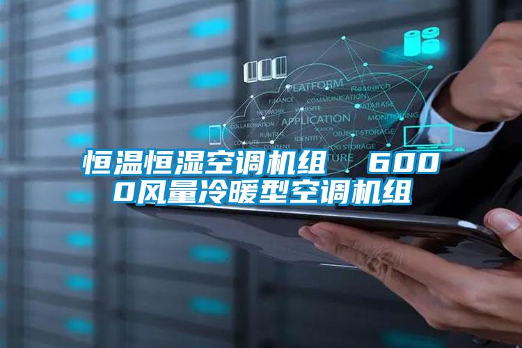 恒溫恒濕空調(diào)機(jī)組  6000風(fēng)量冷暖型空調(diào)機(jī)組