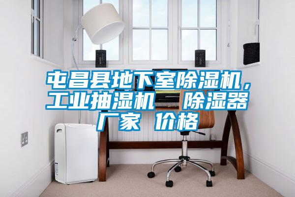 屯昌縣地下室除濕機，工業抽濕機  除濕器廠家 價格
