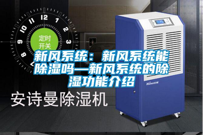 新風系統(tǒng):新風系統(tǒng)能除濕嗎—新風系統(tǒng)的除濕功能介紹