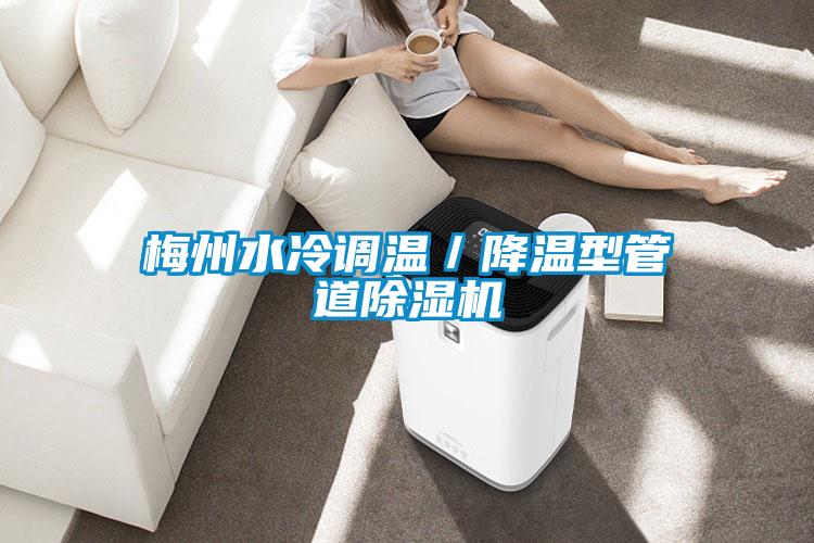 梅州水冷調(diào)溫/降溫型管道除濕機