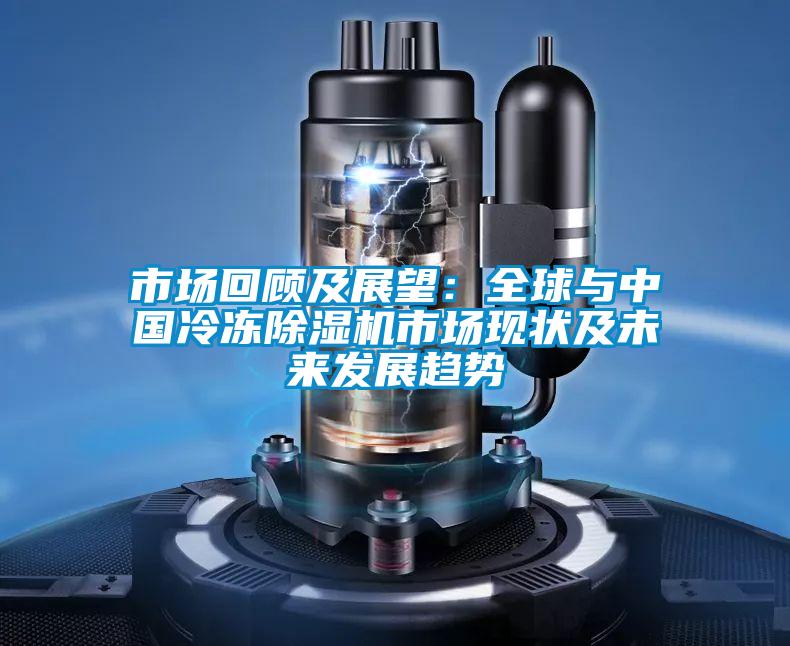 市場回顧及展望：全球與中國冷凍除濕機市場現狀及未來發展趨勢