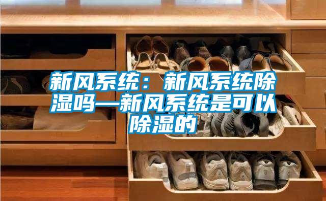 新風(fēng)系統(tǒng):新風(fēng)系統(tǒng)除濕嗎—新風(fēng)系統(tǒng)是可以除濕的