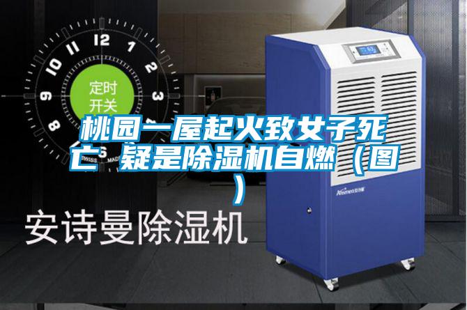 桃園一屋起火致女子死亡 疑是除濕機自燃(圖)