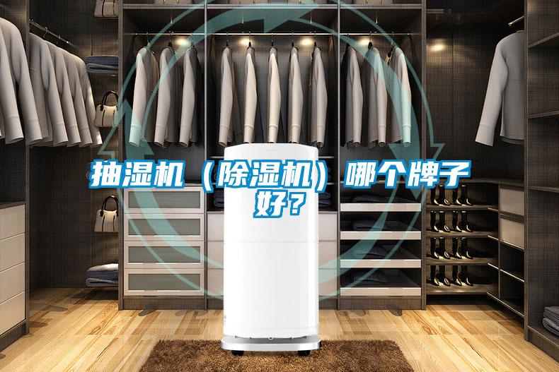 抽濕機(除濕機)哪個牌子好?