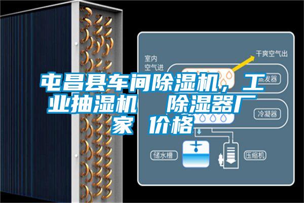 屯昌縣車間除濕機，工業抽濕機  除濕器廠家 價格