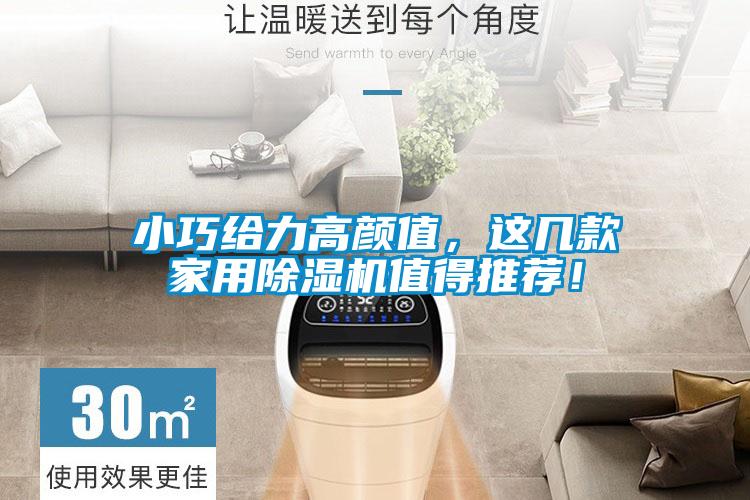 小巧給力高顏值，這幾款家用除濕機值得推薦！