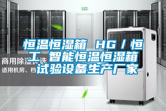 恒溫恒濕箱 HG/恒工 智能恒溫恒濕箱 試驗設備生產廠家