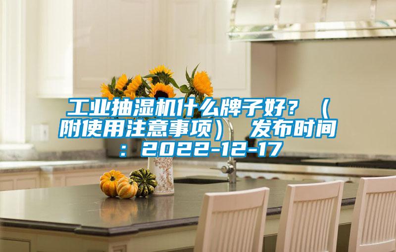 工業(yè)抽濕機什么牌子好?(附使用注意事項) 發(fā)布時間:2022-12-17