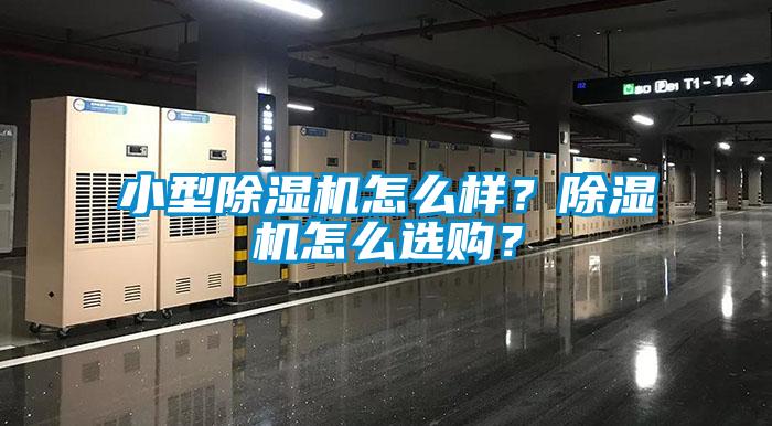 小型除濕機怎么樣?除濕機怎么選購?