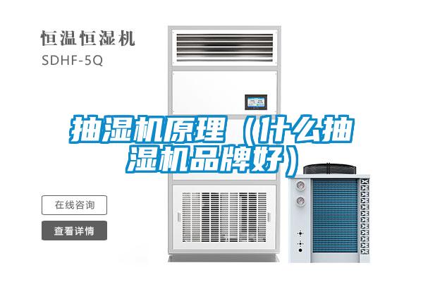 抽濕機原理(什么抽濕機品牌好)