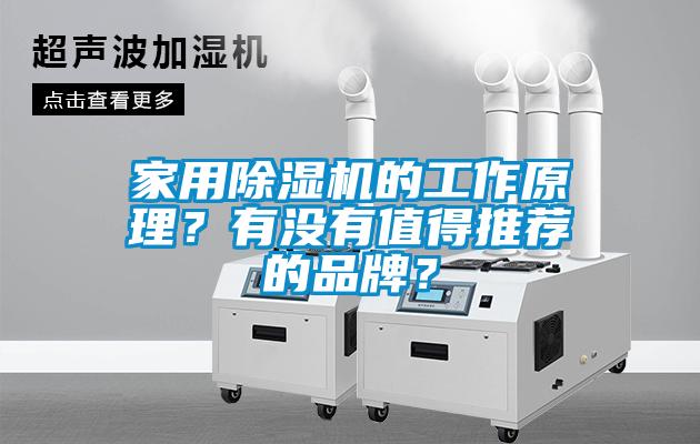 家用除濕機的工作原理？有沒有值得推薦的品牌？