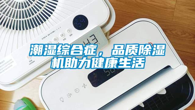 潮濕綜合癥，品質除濕機助力健康生活