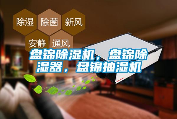 盤錦除濕機(jī)，盤錦除濕器，盤錦抽濕機(jī)