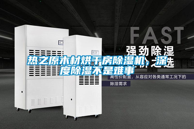 熱之原木材烘干房除濕機，深度除濕不是難事