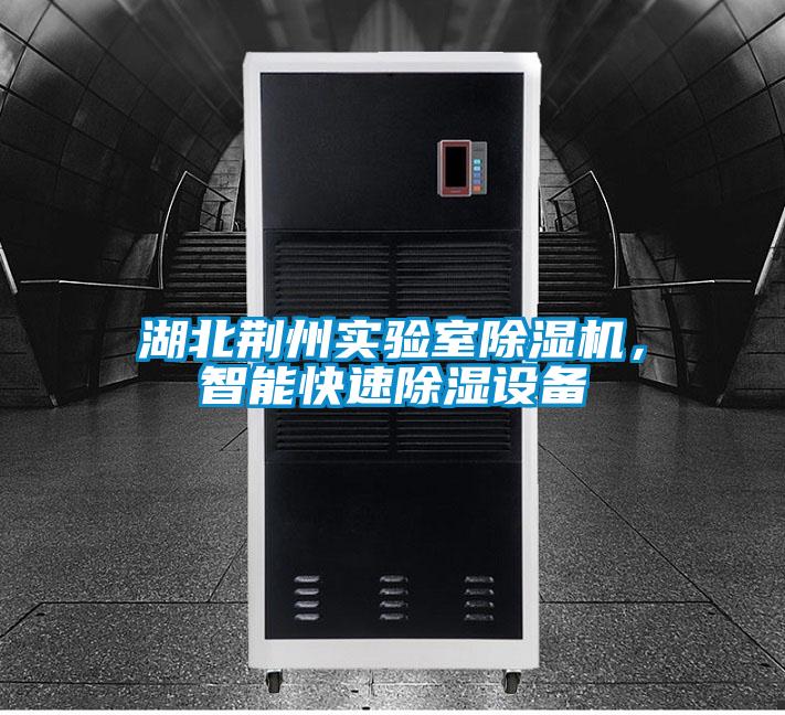 湖北荊州實驗室除濕機，智能快速除濕設備