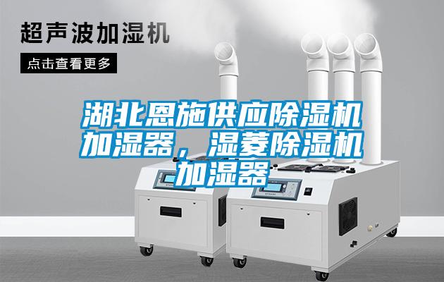 湖北恩施供應除濕機加濕器,濕菱除濕機加濕器